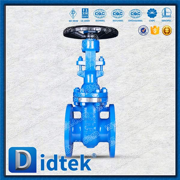 Din Gate Valve-DN65, WCB, ruota a mano, flangia