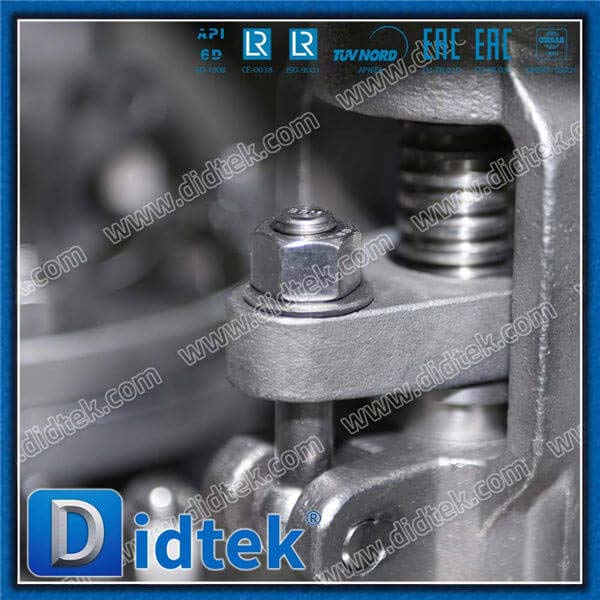 Valvola globale in cofano bullonata in acciaio inossidabile