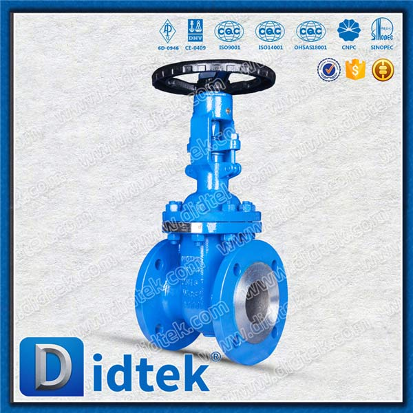 Din Gate Valve-DN65, WCB, ruota a mano, flangia