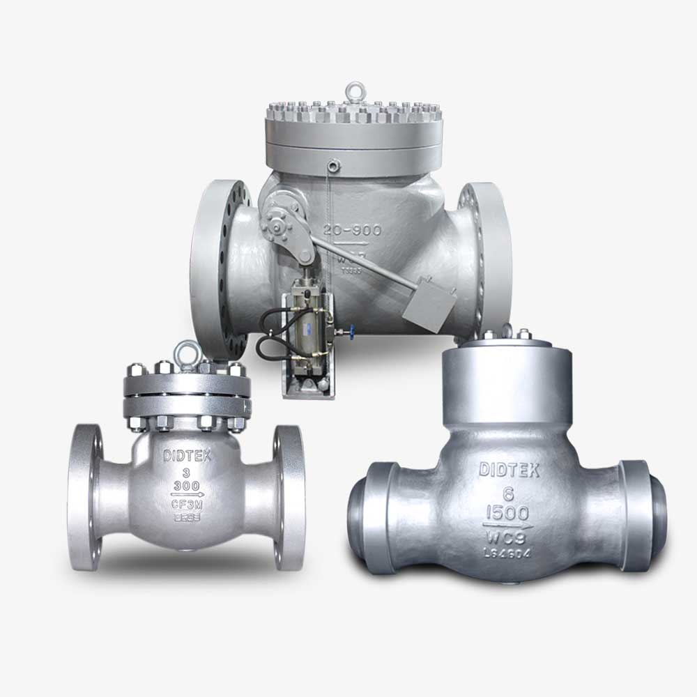 Check Valve Valvola di ritegno
