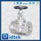 Din Globe Valve-DN50 1.4408 Flangia della ruota a mano