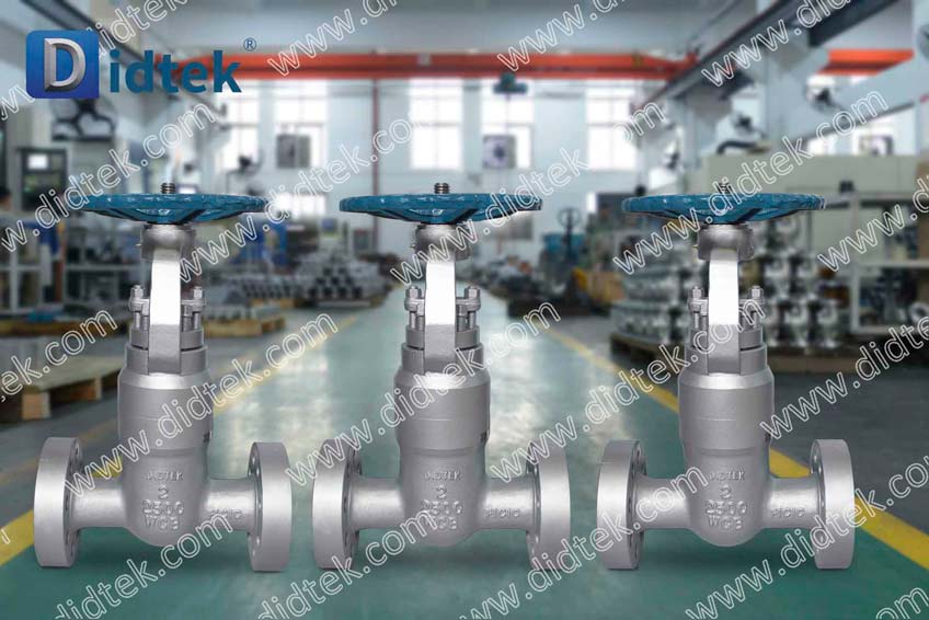 Didtek Casting Steel da 2500 libbre WCB PSB Gate Valve