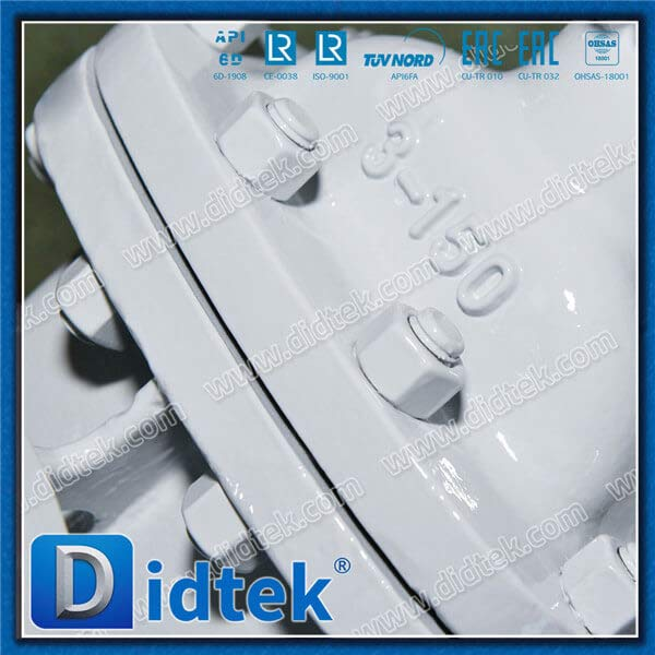 ASTM A351 CF8M BB Gate Valve Tim 10