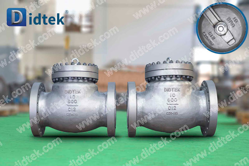 Check Valve Valvola di ritegno