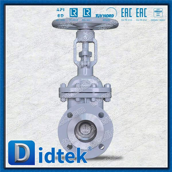 ASTM A351 CF8M BB Gate Valve Tim 10