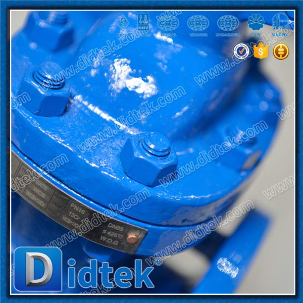 Din Gate Valve-DN65, WCB, ruota a mano, flangia