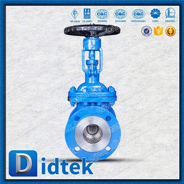 Din Gate Valve-DN65, WCB, ruota a mano, flangia