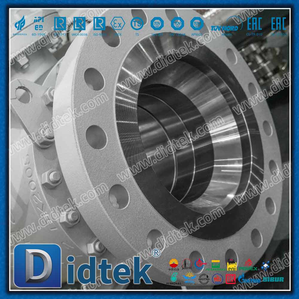 Valvola a sfera trunnion con guarnizione a labbro in PTFE energizzata a molla Elgiloy 