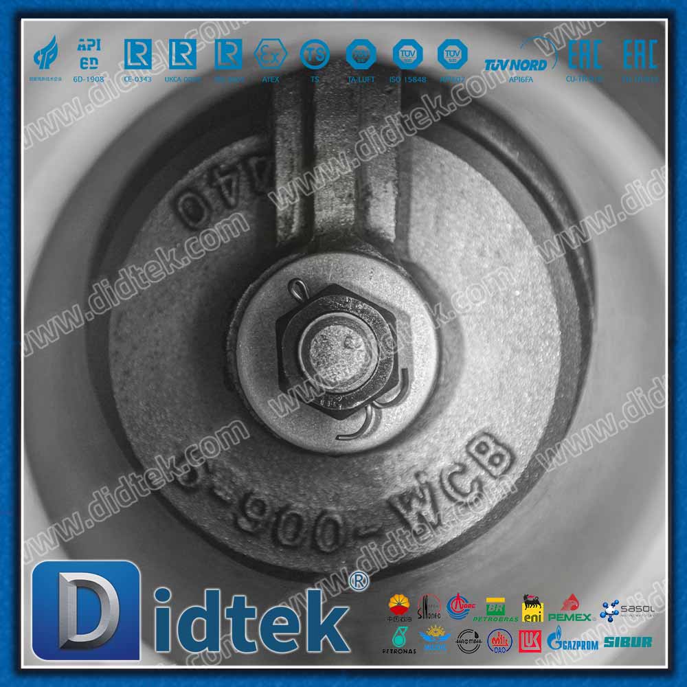 Valvola di ritegno a battente API6D 900LB con connessione BW