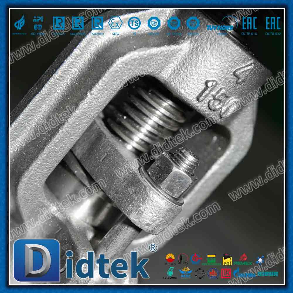 CK20 F310 Valvola a globo ASA150 forata con trim