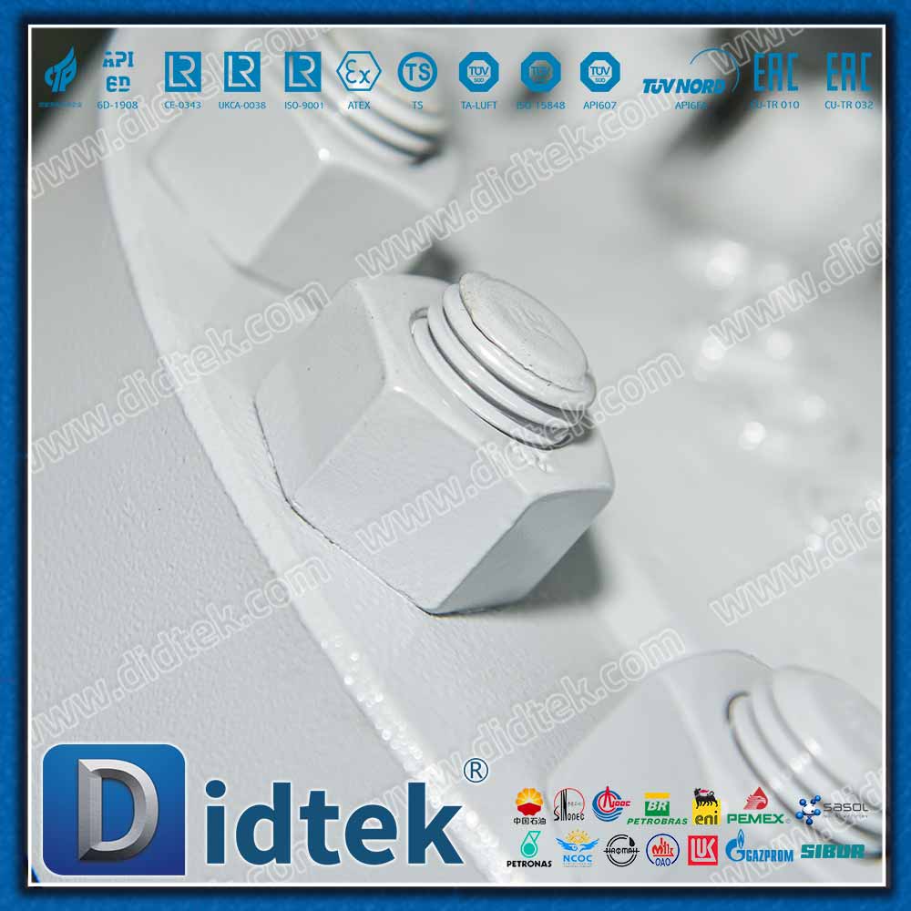 Valvola di ritegno a battente API6D 900LB con connessione BW